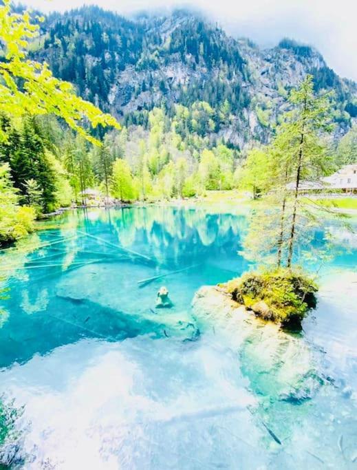 Appartamento Cute & Cozy Oasis, Private Afternoon Sun Terrace Kandersteg Esterno foto